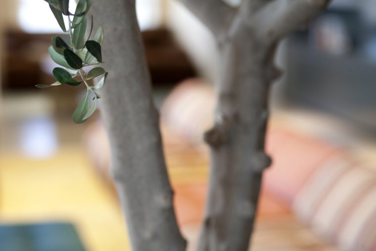 W40 TLV OLIVE TREE SOFA DETAIL